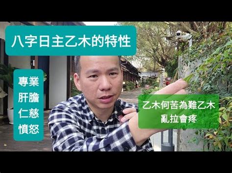 木命人職業|五行屬木？這些工作最適合